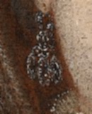 Anna z Mycielskich Radziwiłłowa, malarz nieznany, 4. ćw. XVIII w.